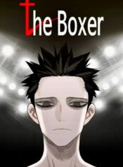 The Boxer